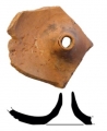 AMPLIAR