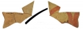 AMPLIAR