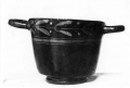 AMPLIAR