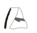 AMPLIAR