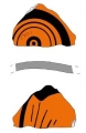 AMPLIAR