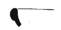 AMPLIAR