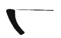 AMPLIAR