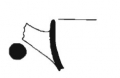 AMPLIAR