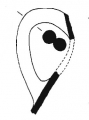 AMPLIAR