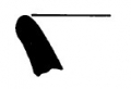 AMPLIAR
