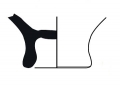 AMPLIAR