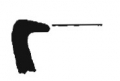 AMPLIAR