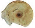 AMPLIAR