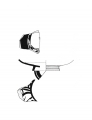 AMPLIAR