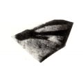 AMPLIAR