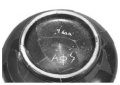 AMPLIAR