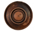 AMPLIAR
